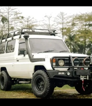 Landcruiser 79 BUMPER BULLBAR LANDCRUISER 75 SERIES FOREST 2 whatsapp_image_2024_10_18_at_11_45_15_1